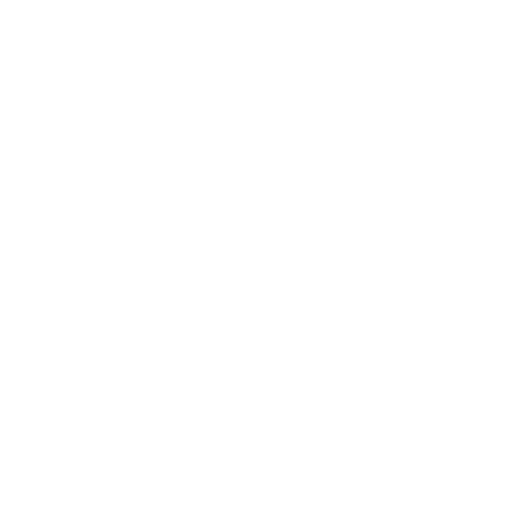 Volkswagen Partner